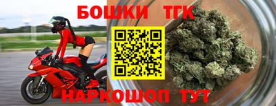 индика Обнинск