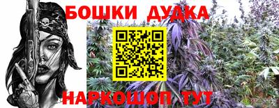 индика Обнинск