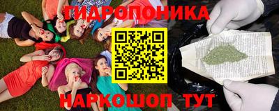 индика Обнинск