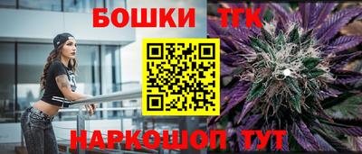 индика Обнинск
